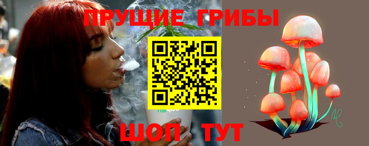 Ленинск-Кузнецкий  Галлюциногенные грибы Cubensis  наркота  Вход с VPN 
